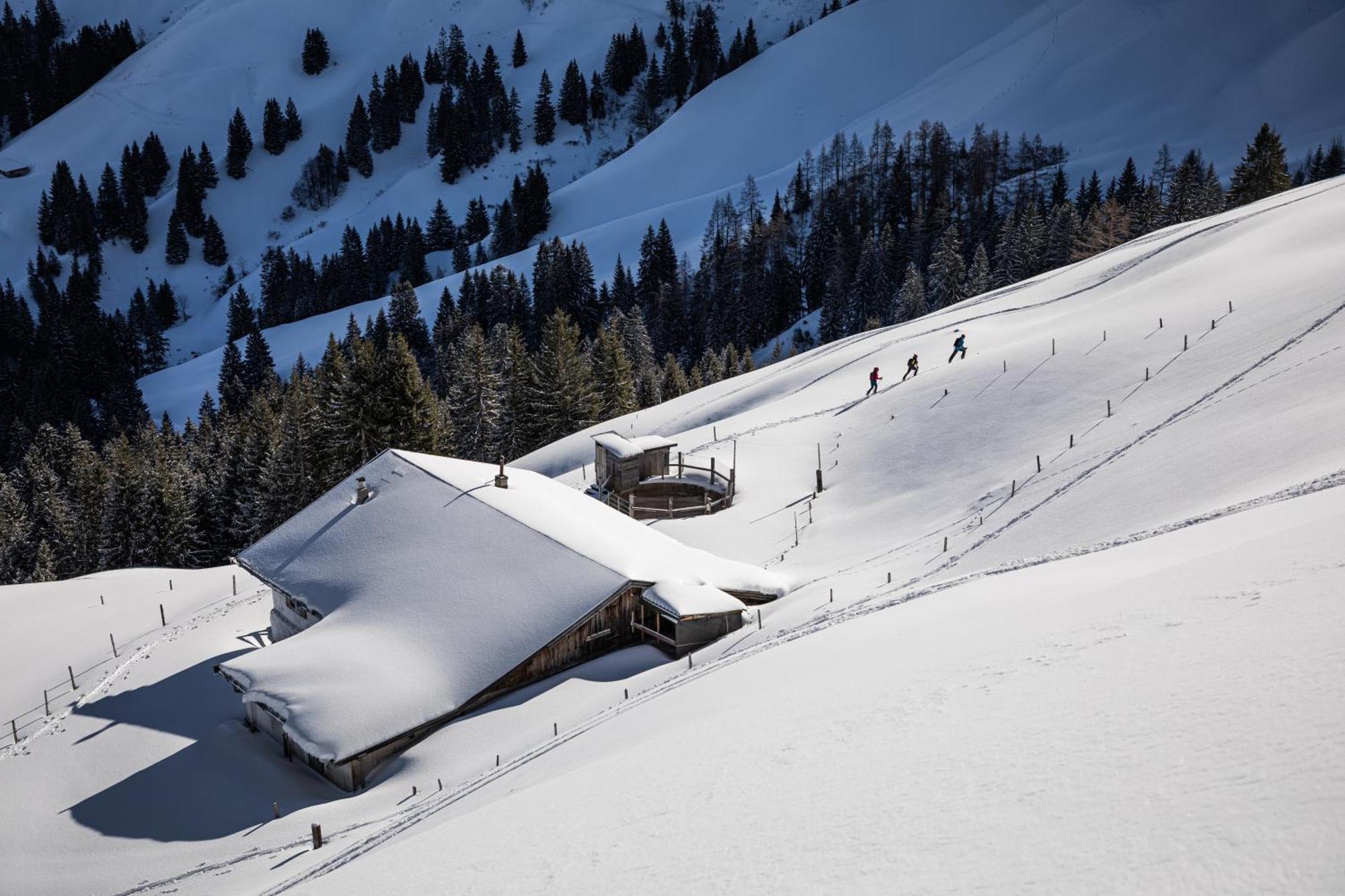 Apartament Kitzbuehel By Alps *